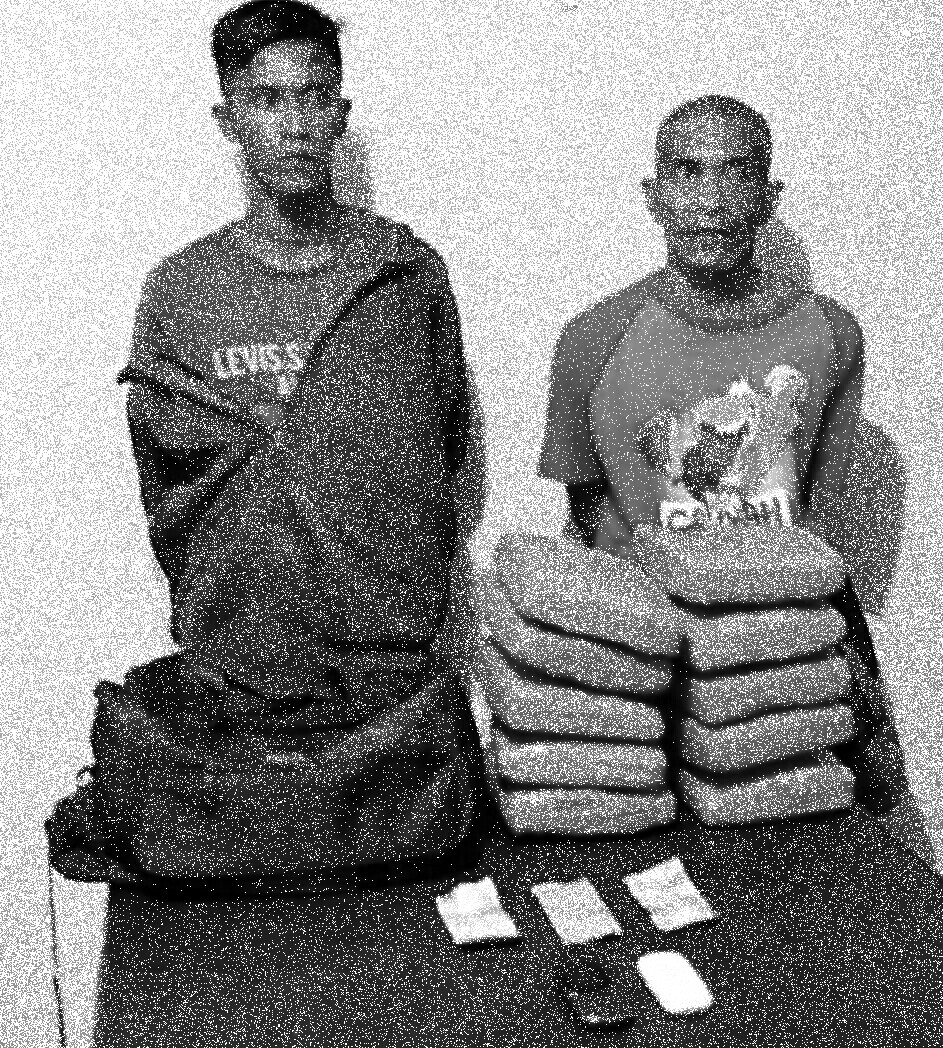 Peredaran 10 Kg Ganja Kering Digagalkan Polres Pasaman