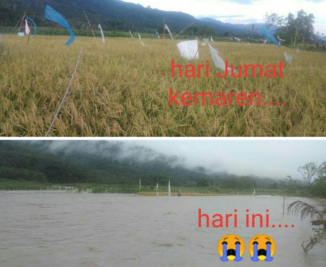 Rudi Apriasi: Pemerintah Harus Serius untuk Normalisasi Sungai di Rao Utara