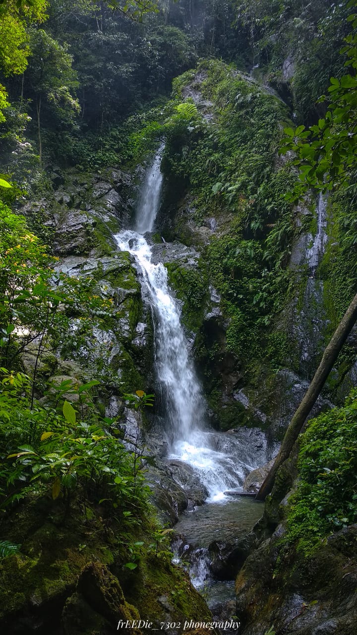 Tawarkan Keasrian dan Kesejukan, Air Terjun Murai Tinggi Lubuk Sikaping Tebar Pesona Eksotis