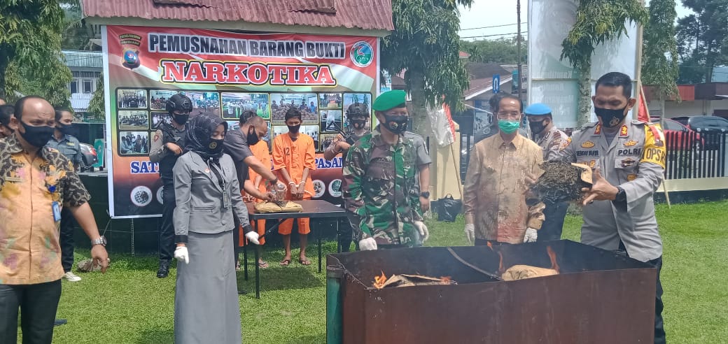 Polres Pasaman Musnahkan BB 15 Paket Ganja Kering