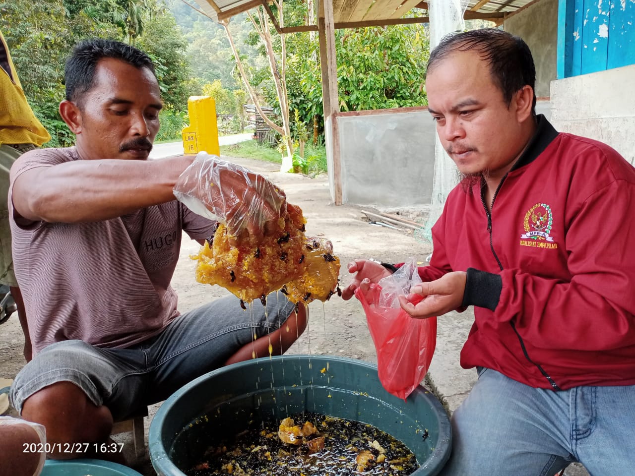 Madu Hutan Asli Jorong Biduak Bonjol, Madu Penuh Bermanfaat Seraya Melestarikan Alam