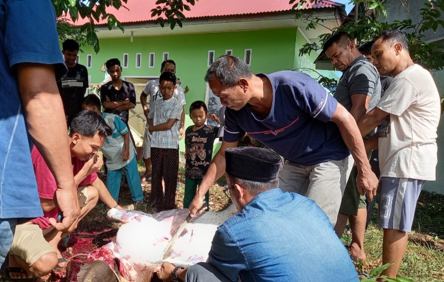 Idul Adha 1443 H, Warga Perum Tamber Indah Lubuk Sikaping Berqurban Sapi