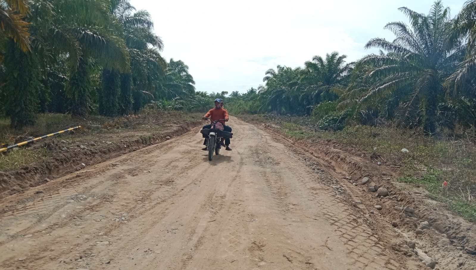 Capai 92 Persen, Progress TMMD Ke-126 Kodim 0305/Pasaman Di Nagari Katiagan Pasbar